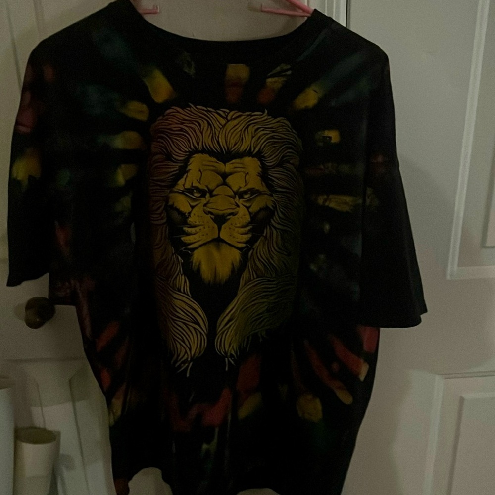 ALL ABOUT ART LION TEE SHIRT